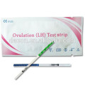 Urine Pregnancy Test Strip